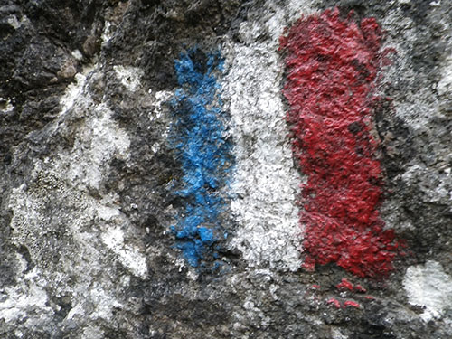 Bandera francesa pintada