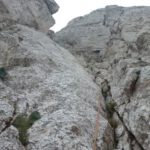 Helen el el quinto largo