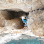 Neus saliendo del agujero