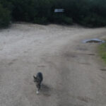 Nos acompañó los días que estuvimos por ahí