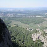 Las vistas desde la R1