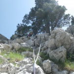 Quinta reunión