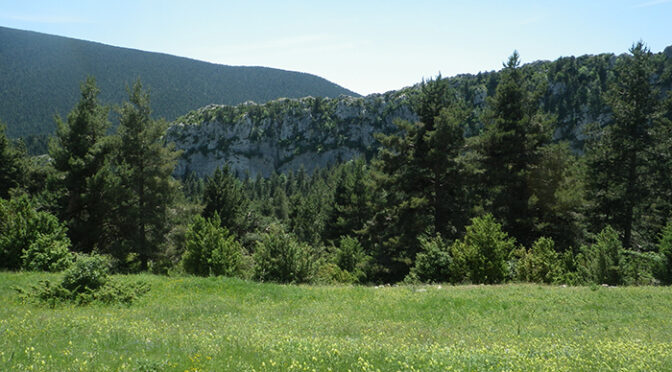 L’Indi Sediciós. Roca Gran d’en Ferrús.