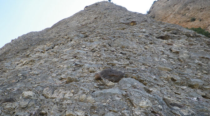 Animistes. Roca de Ponent