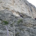 Primer largo