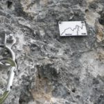 Placa Vetter TOM