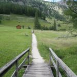 Camino de retorno