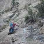 Primer largo