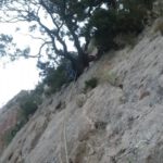 Pasando por el bosquecito del L5