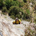 Escalada herbosa del L4