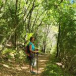 De vuelta a las furgos